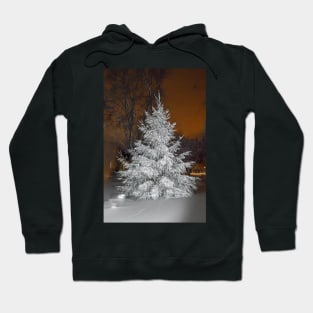 Snow storm Hoodie